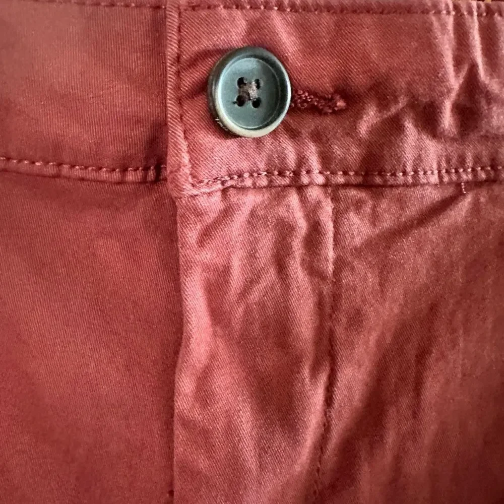 NWT Tailor Vintage Men’s Canyon Red Flat Front Casual Chino Pants - Size 38x34
